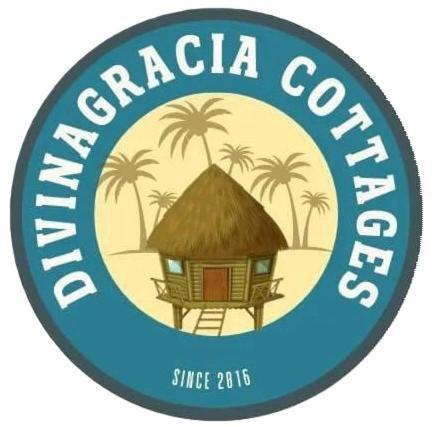 Divinagracia Cottages San Vicente  Extérieur photo