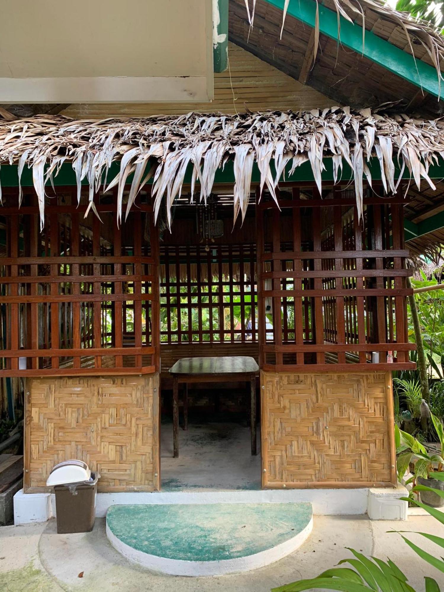 Divinagracia Cottages San Vicente  Extérieur photo